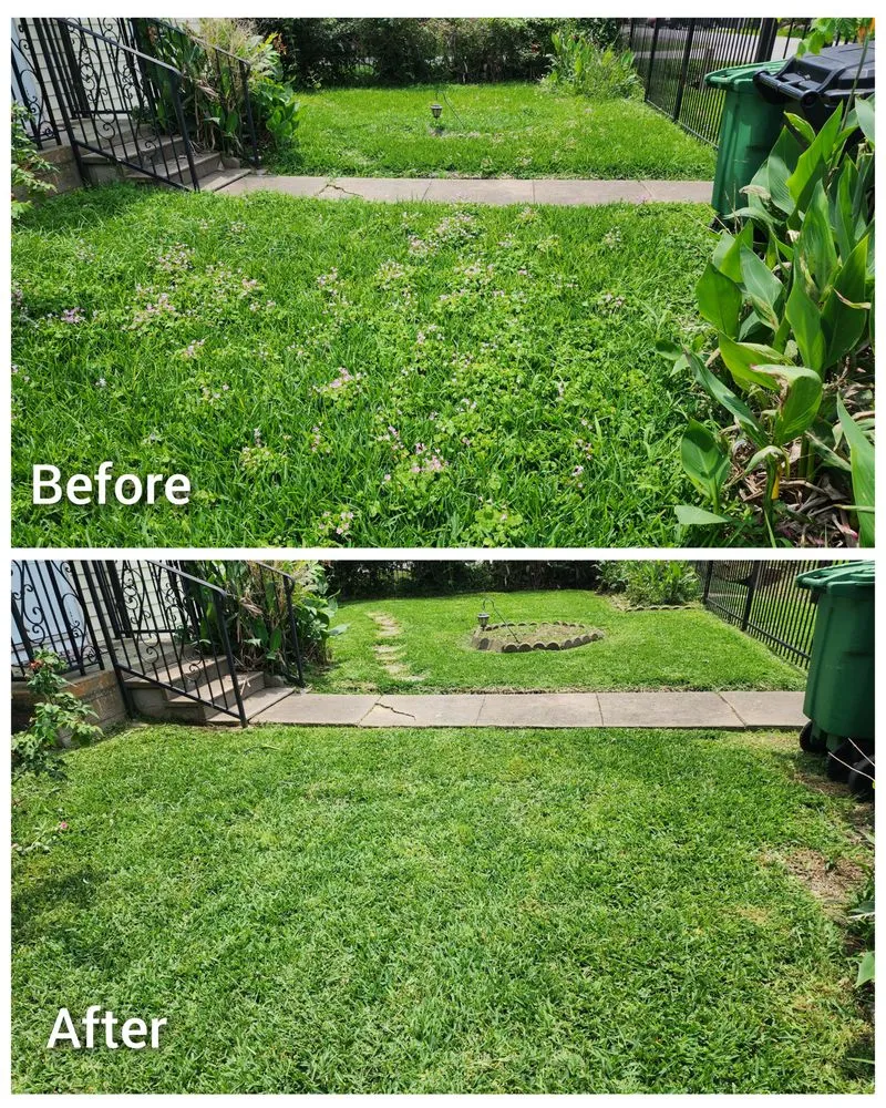 Professional outdoor landscaping experts serving Houston, TX - Mercado Mowers