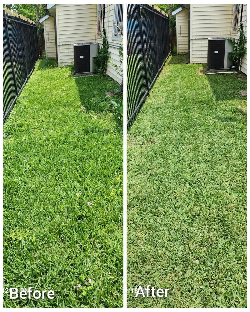 Top-rated lawn mowing service in Houston, TX by Mercado Mowers