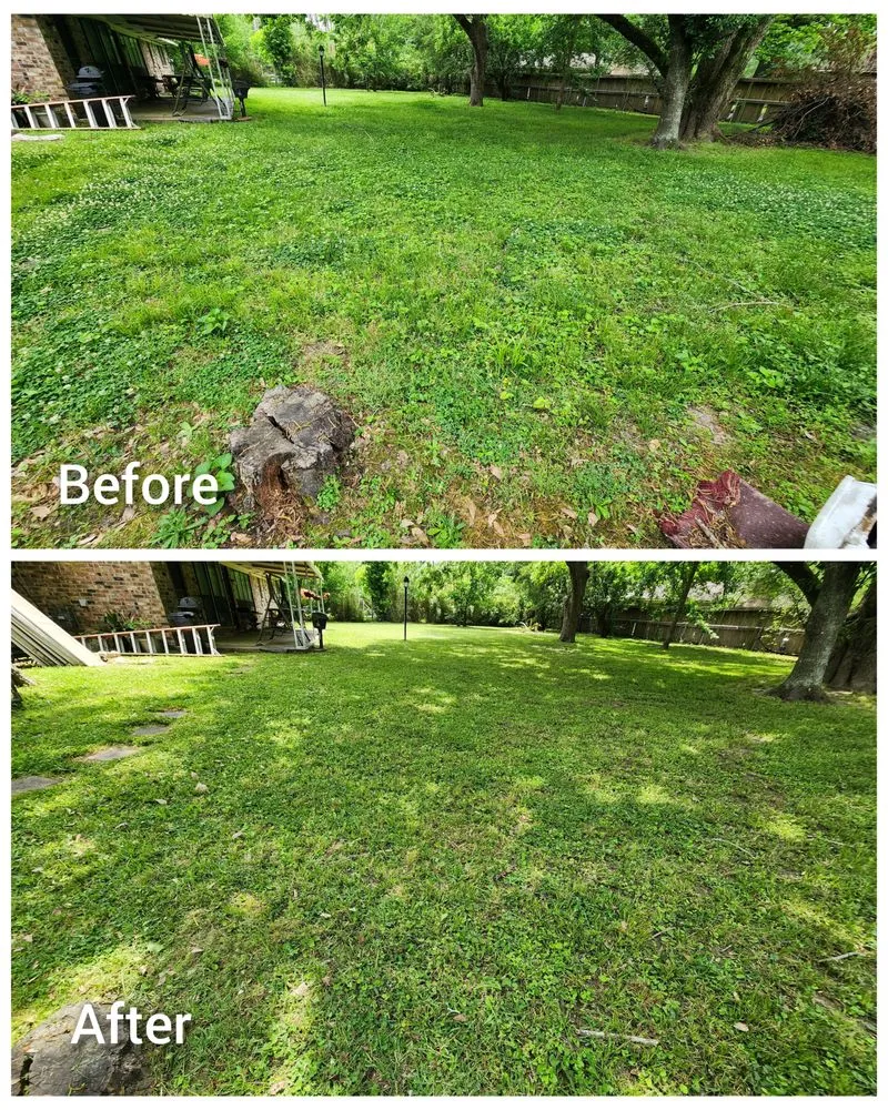 Trusted landscape installation for homes in Houston, TX by Mercado Mowers