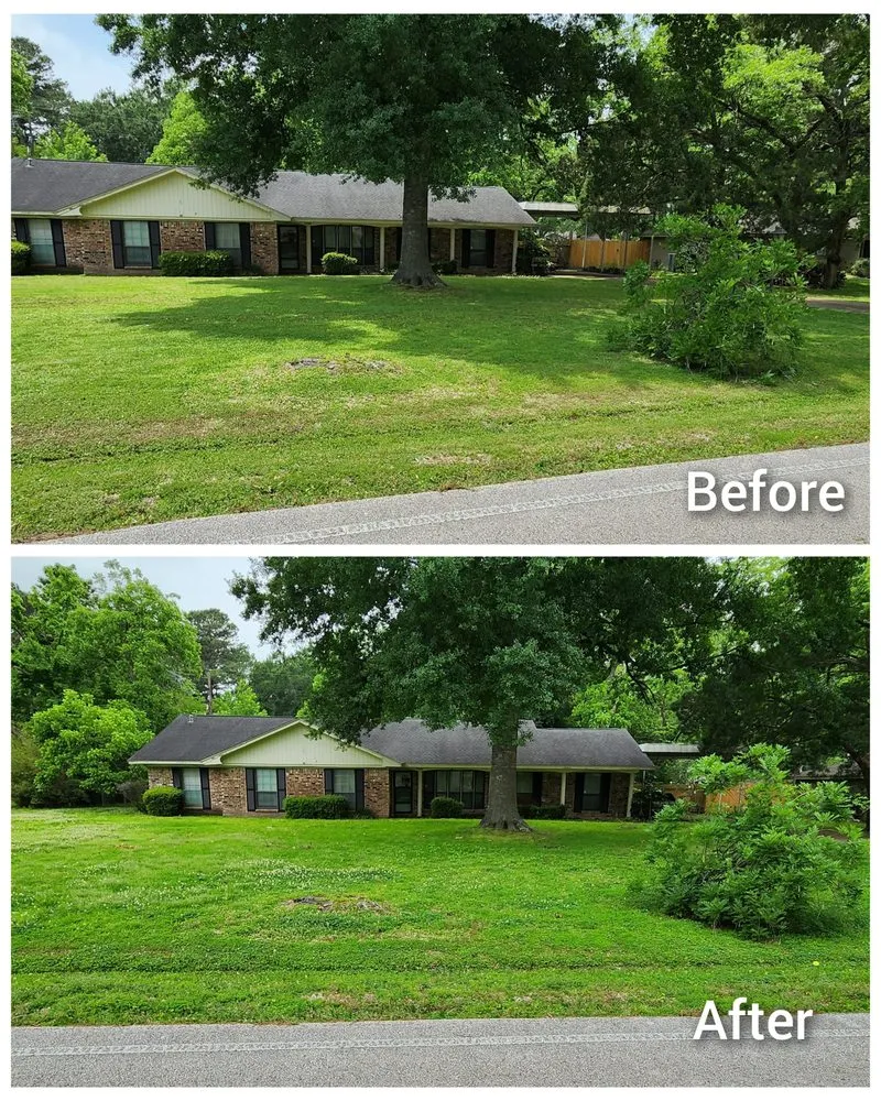Local yard cleanup service in Houston, TX by Mercado Mowers