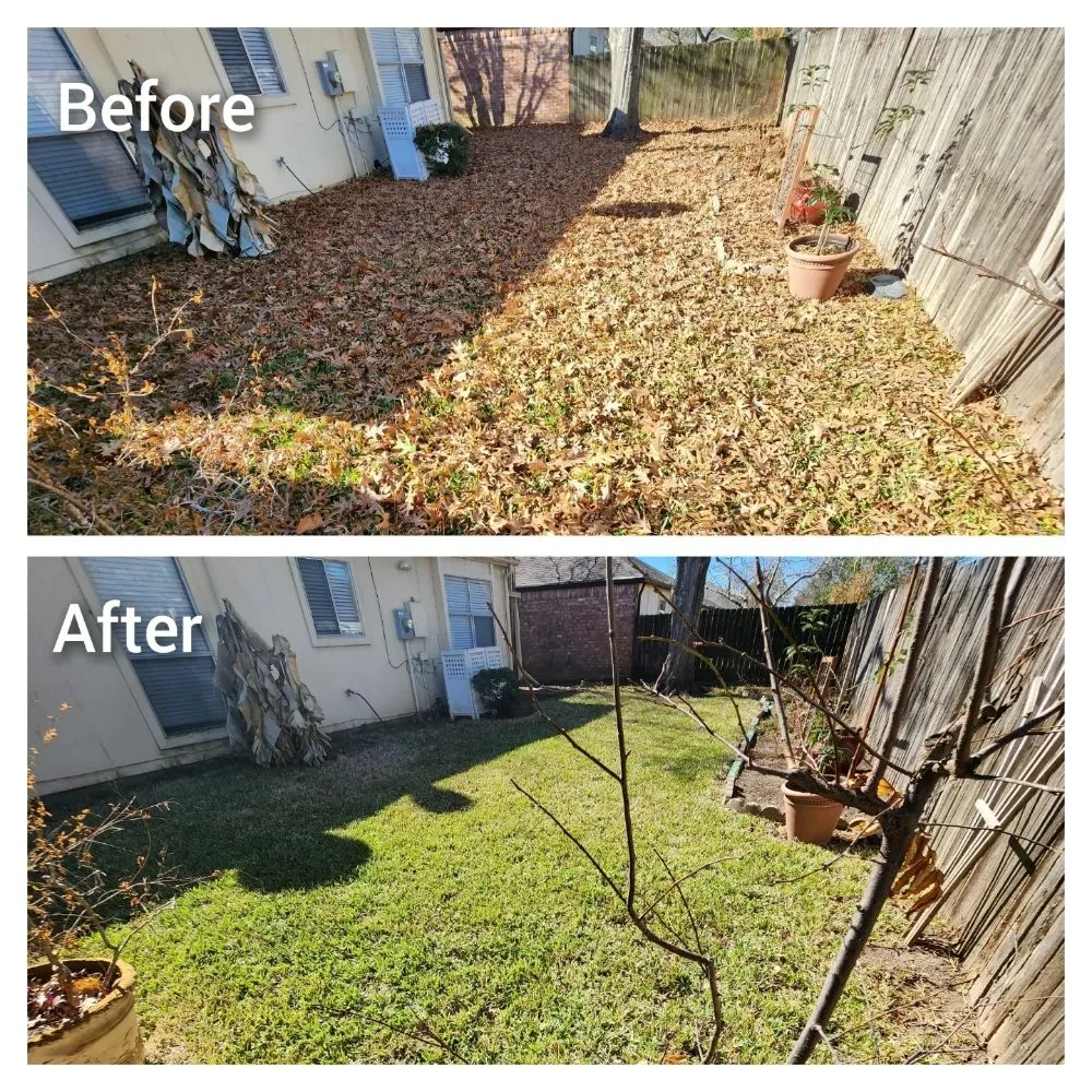 Professional outdoor landscaping for beautiful yards in Houston, TX by Mercado Mowers