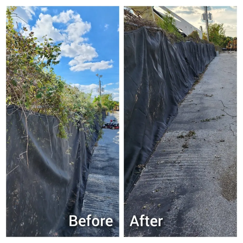 Local residential landscaping for year-round maintenance across Houston, TX - Mercado Mowers