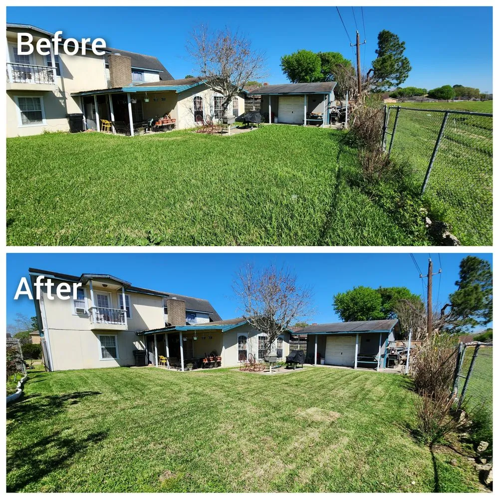 Professional yard cleanup service experts serving Houston, TX - Mercado Mowers