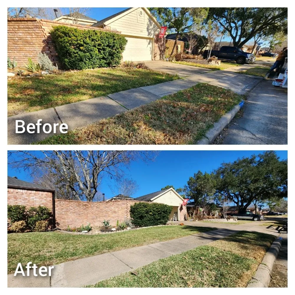 Professional landscaping services experts serving Houston, TX - Mercado Mowers