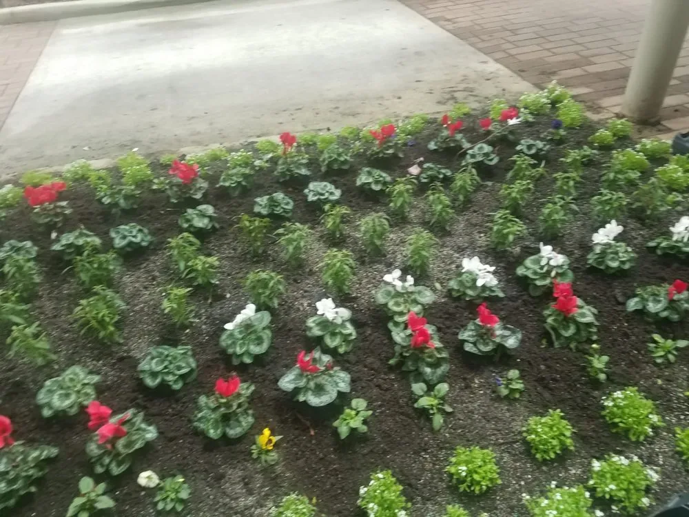 Reliable outdoor landscaping for beautiful yards across Tomball, TX - Mercado's Landscape & Tree Service