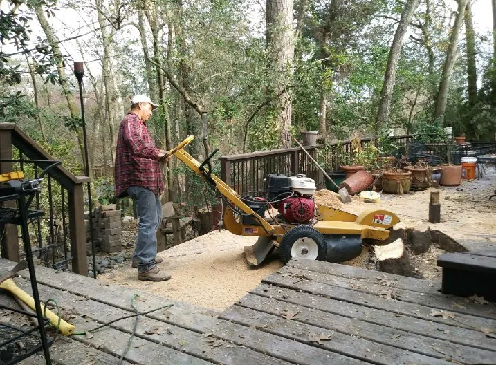 Reliable residential landscaping in Tomball, TX by Mercado's Landscape & Tree Service