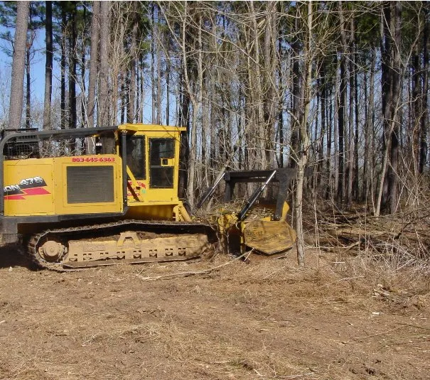 Trusted yard cleanup service in Tomball, TX - Mercado's Landscape & Tree Service