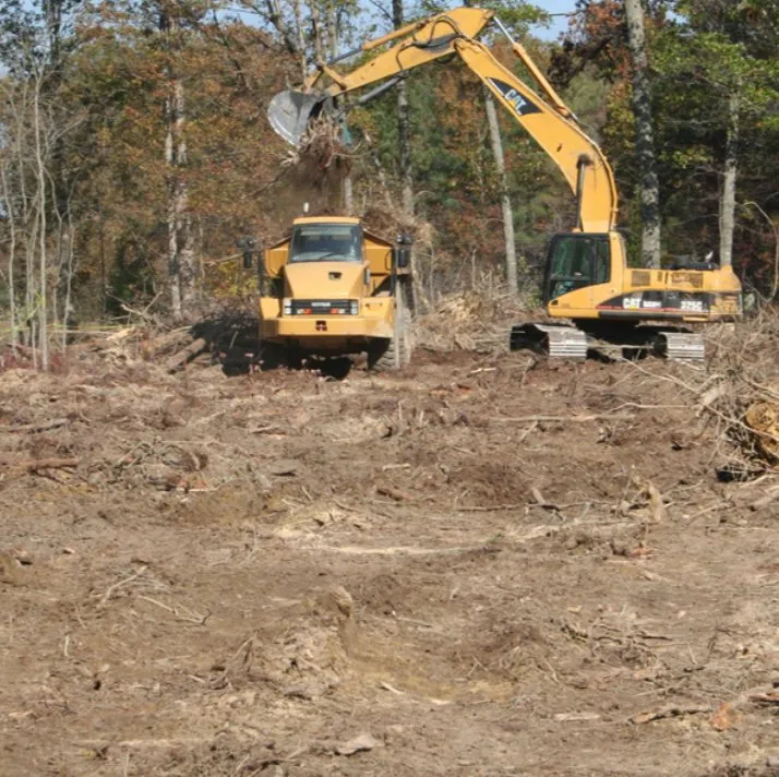 Professional landscape design in Tomball, TX by Mercado's Landscape & Tree Service