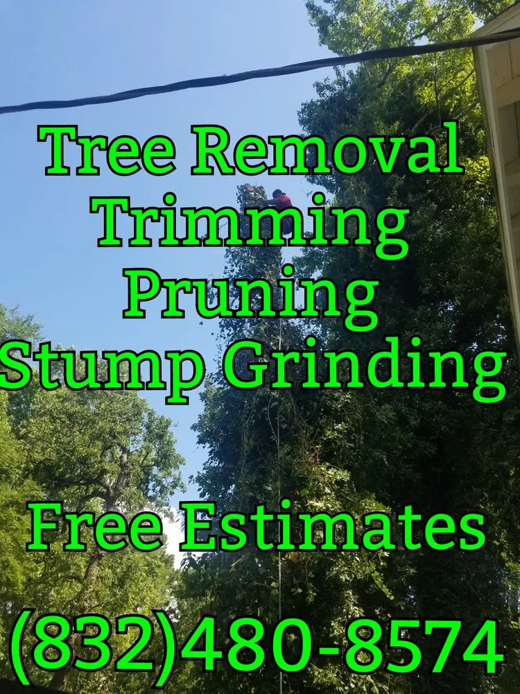 Expert residential landscaping in Tomball, TX by Mercado's Landscape & Tree Service