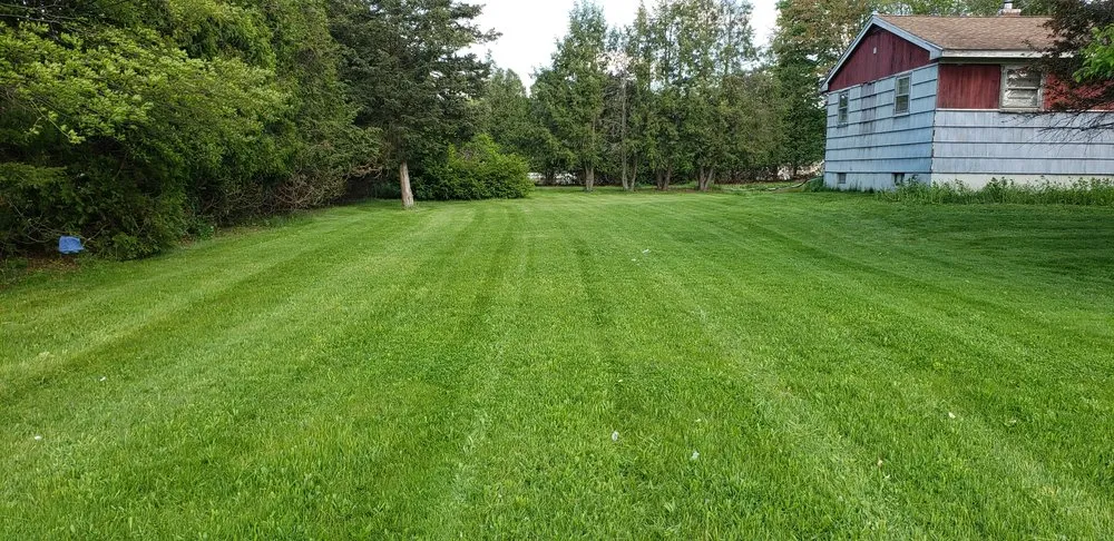Reliable yard cleanup service experts serving Enfield, CT - Mercado's Lawn Care