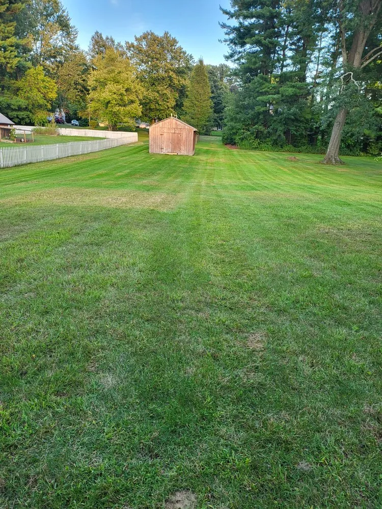 Reliable yard cleanup service in Enfield, CT - Mercado's Lawn Care