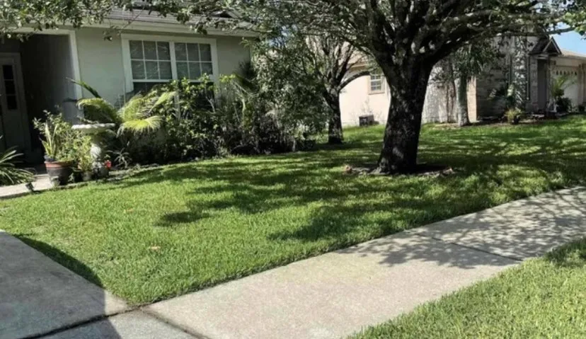 Reliable residential landscaping with custom design across Comanche, TX - Mercado’s Lawn Service