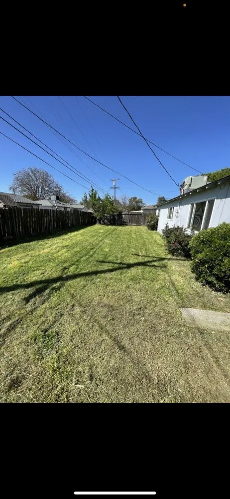 Trusted yard maintenance for beautiful yards across Comanche, TX - Mercado’s Lawn Service