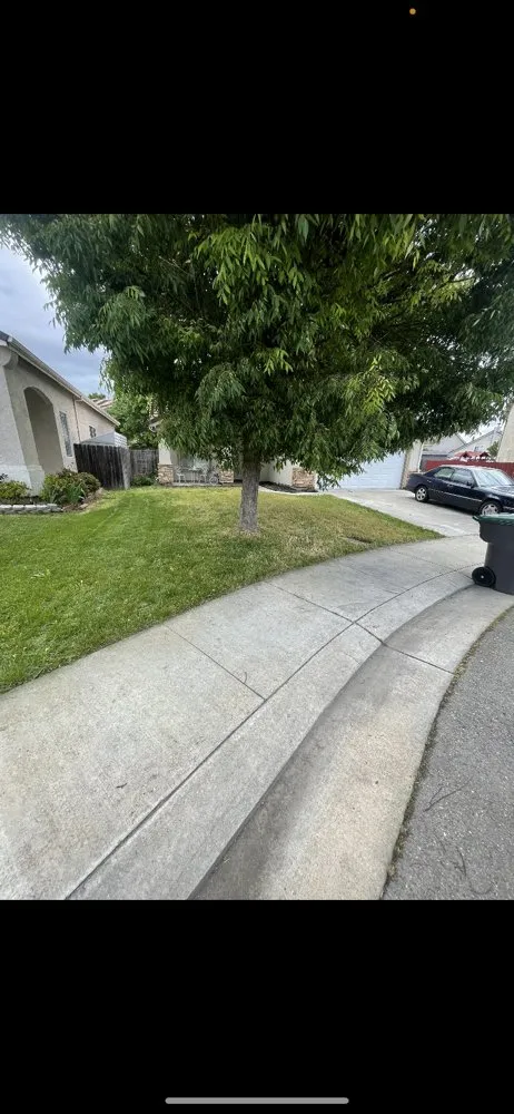 Affordable garden landscaping for homes in Comanche, TX by Mercado’s Lawn Service