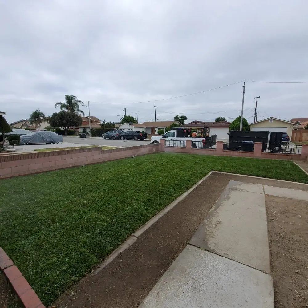 Affordable residential landscaping in Norco, CA - Mercado's Lawn Service