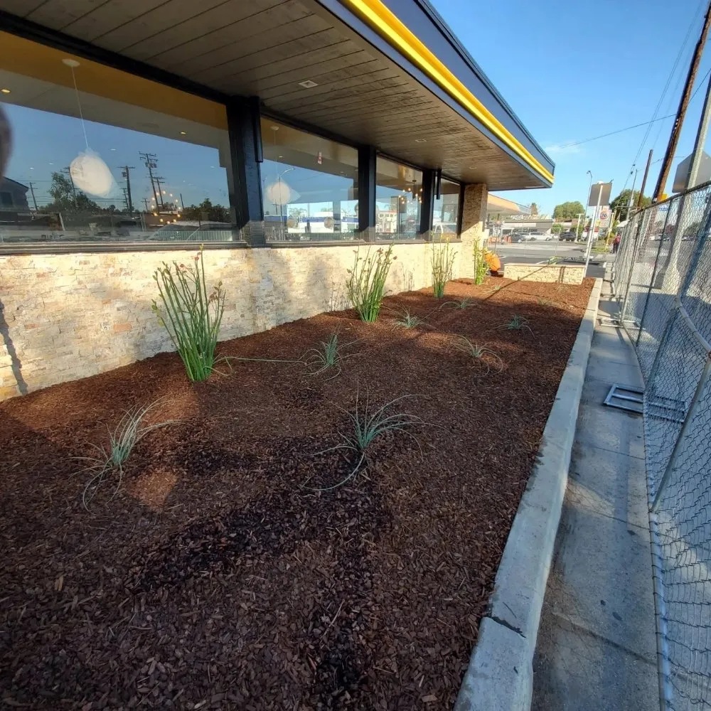 Local garden landscaping in Norco, CA by Mercado's Lawn Service