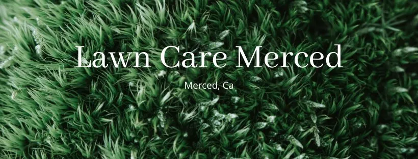 Custom yard cleanup service for outdoor upgrades across Merced, CA - Merced Lawn Care and Landscaping