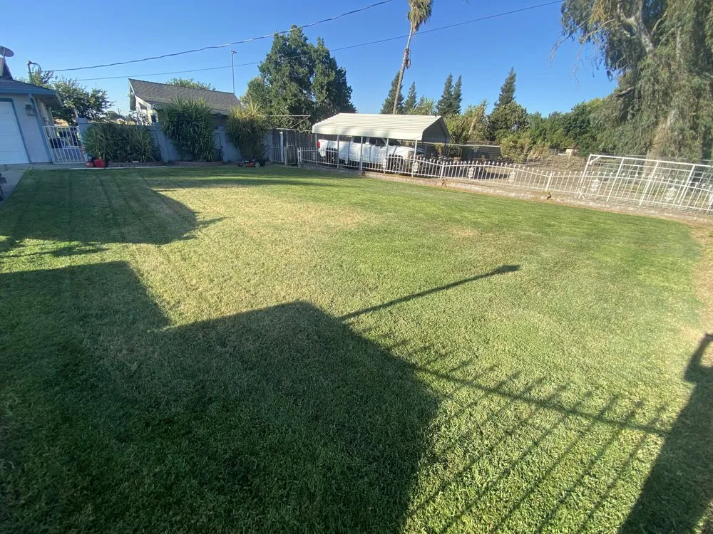 Professional lawn care service in Merced, CA by Merced Mowing