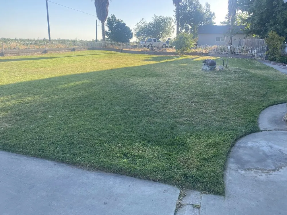 Top-rated yard maintenance for outdoor upgrades in Merced, CA by Merced Mowing