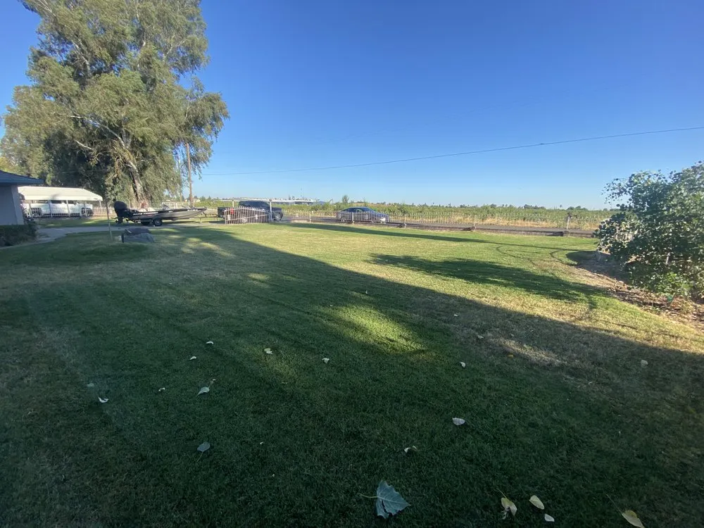 Affordable landscape installation experts serving Merced, CA - Merced Mowing