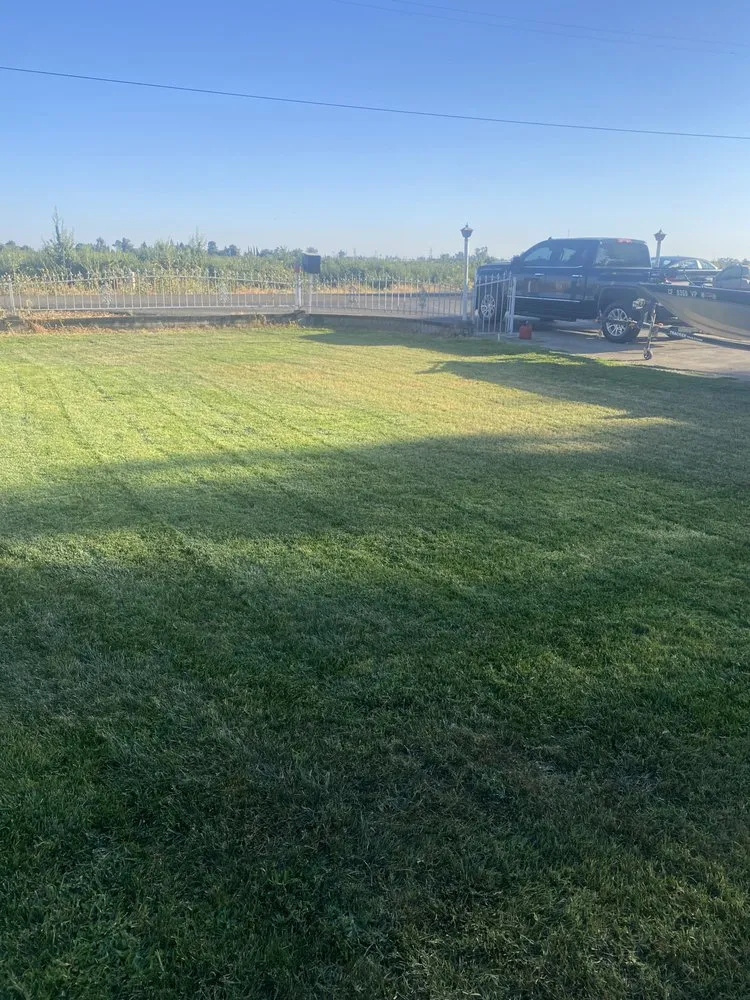 Local yard maintenance near you in Merced, CA by Merced Mowing