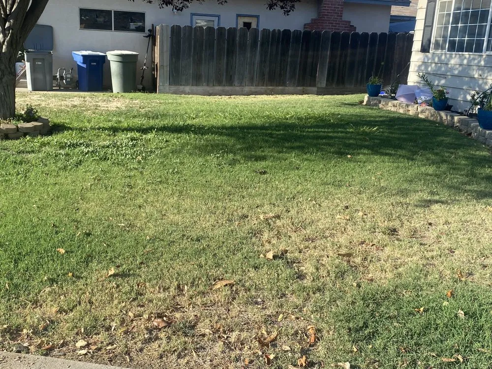 Expert lawn care service in Merced, CA - Merced Mowing