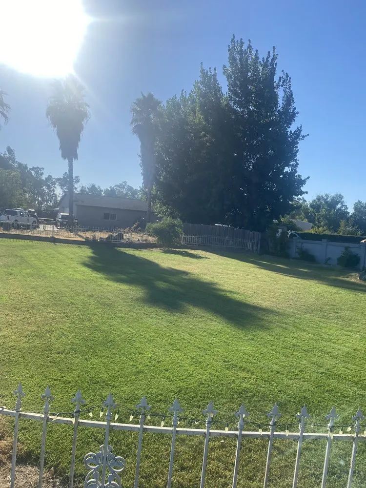 Professional residential landscaping for beautiful yards across Merced, CA - Merced Mowing