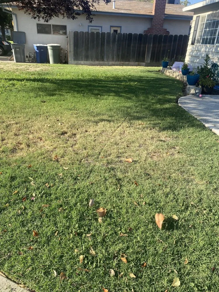 Expert lawn care service near you across Merced, CA - Merced Mowing