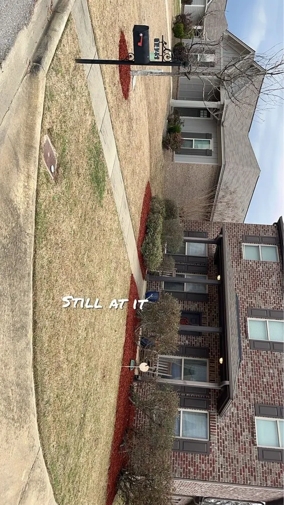 Professional yard cleanup service in Montgomery, AL - Mercedes Painting & Landscaping