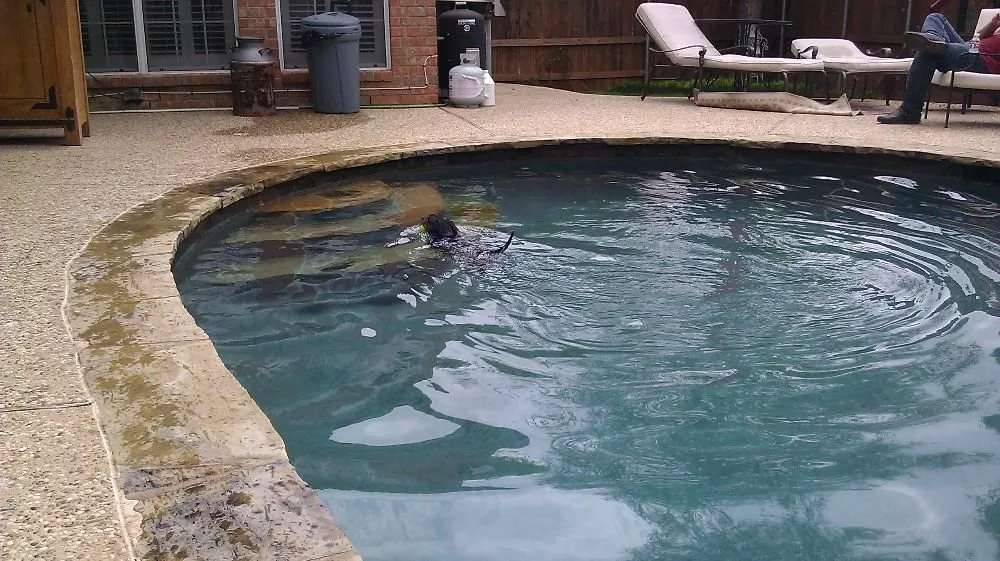Affordable outdoor landscaping in Plano, TX - Mercedes Pools