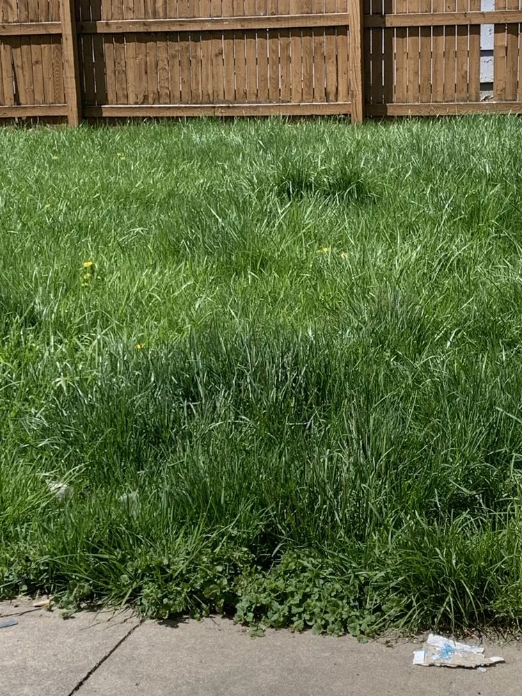 Affordable residential landscaping for beautiful yards in Joliet, IL by Mercer Lawn Service