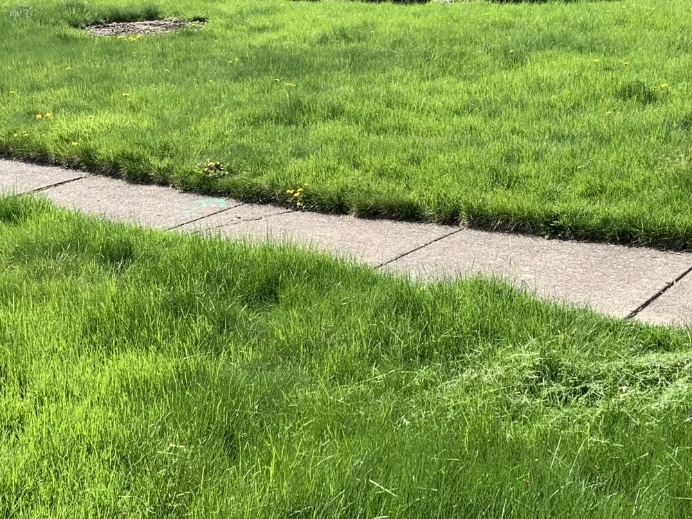 Professional landscape design in Joliet, IL - Mercer Lawn Service