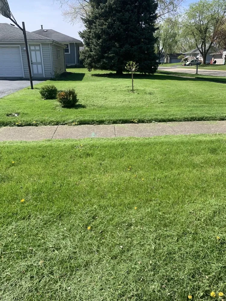 Affordable landscape design with custom design across Joliet, IL - Mercer Lawn Service