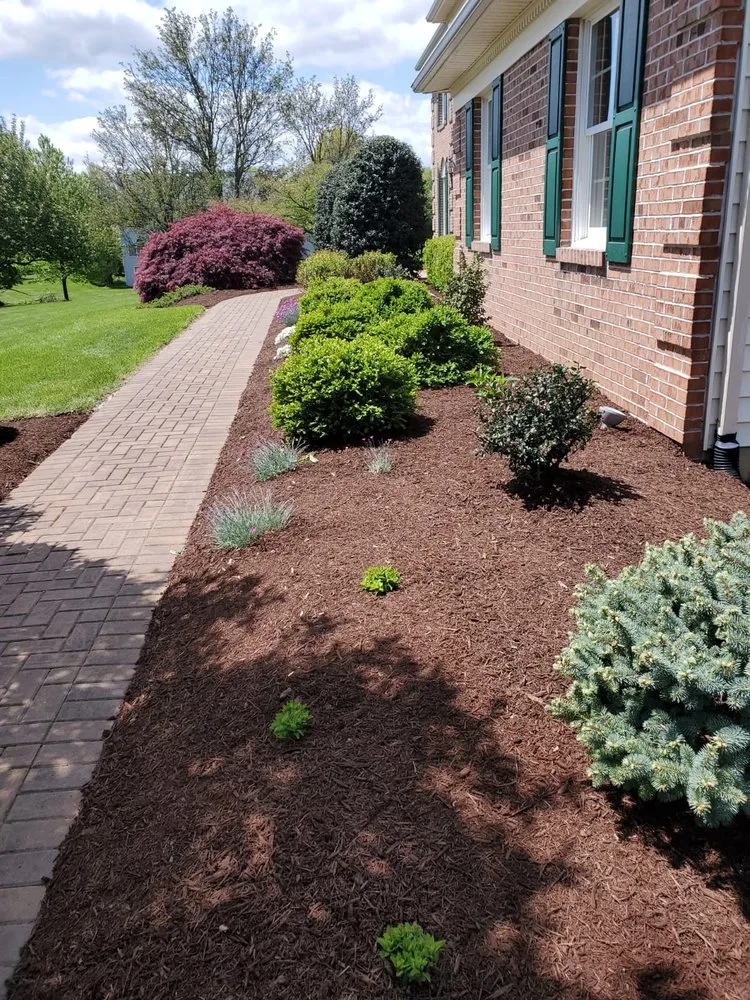 Expert yard maintenance for beautiful yards in Bensalem, PA by Merchan's Landscaping and Tree Service