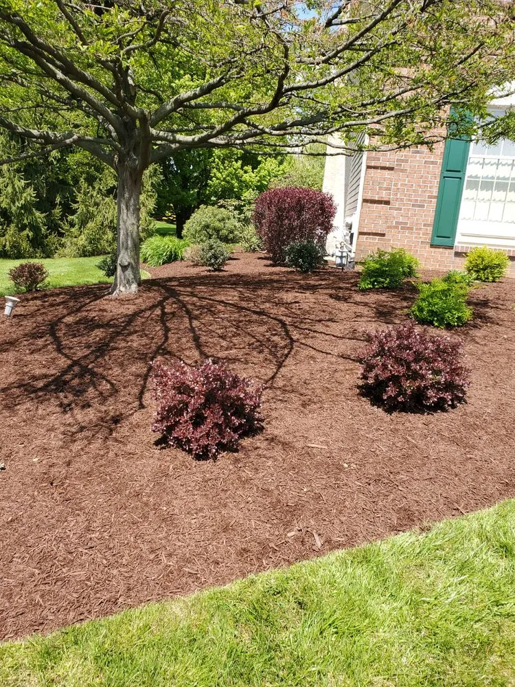 Affordable yard maintenance experts serving Bensalem, PA - Merchan's Landscaping and Tree Service
