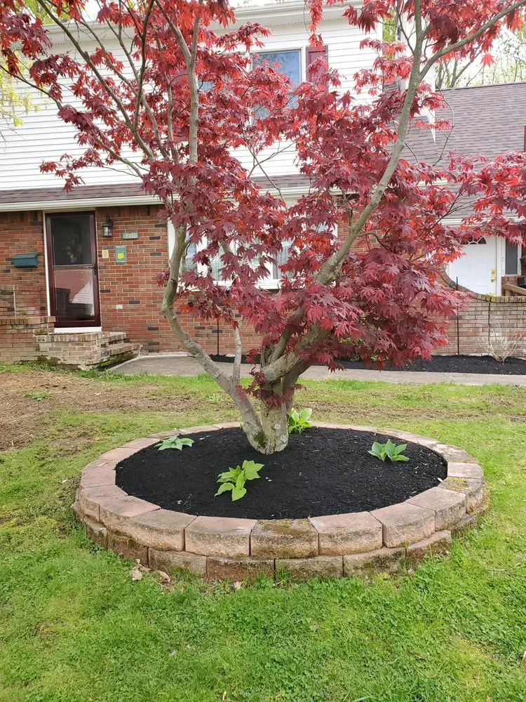 Professional garden landscaping for year-round maintenance across Bensalem, PA - Merchan's Landscaping and Tree Service