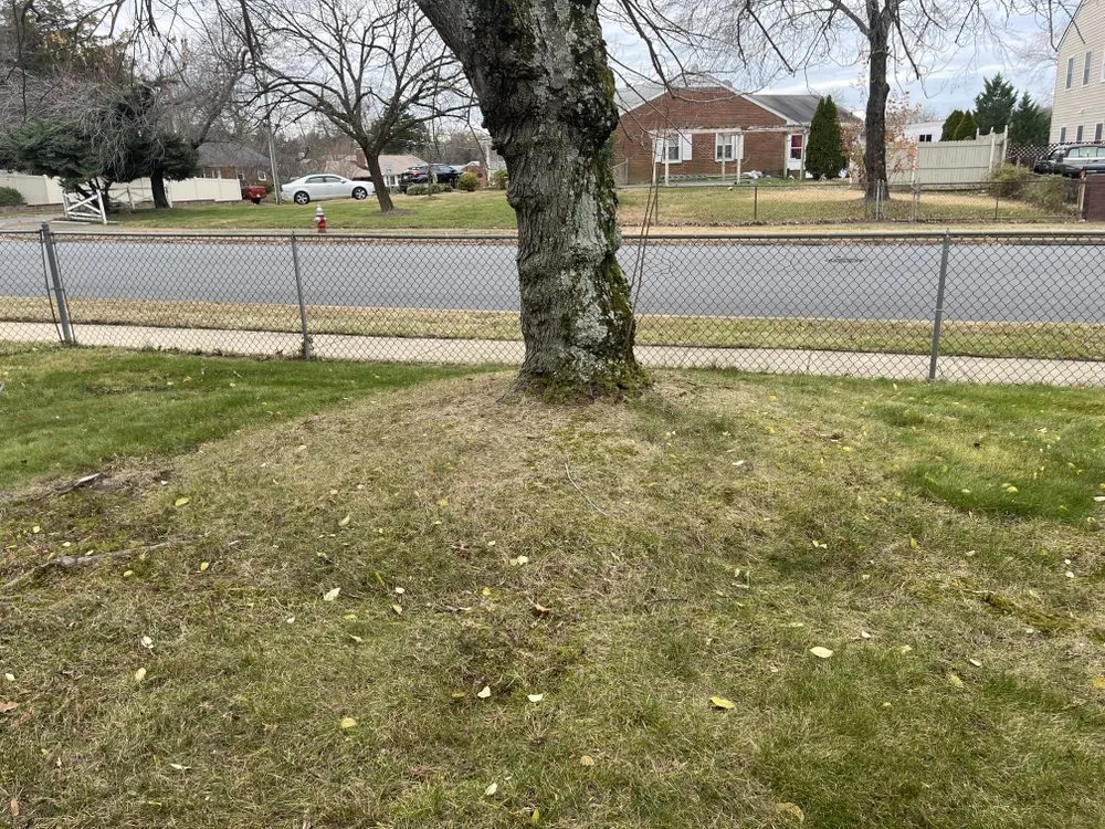 Professional garden landscaping in Damascus, MD by Merchant Landscaping