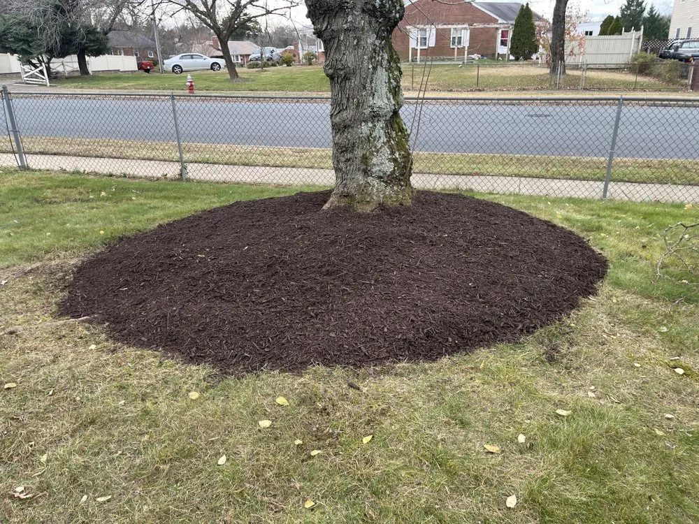 Professional landscaping services in Damascus, MD - Merchant Landscaping