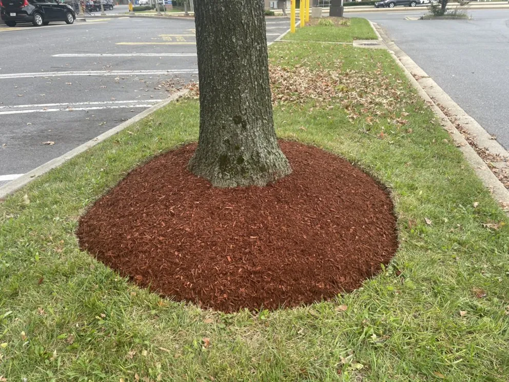 Custom garden landscaping in Damascus, MD by Merchant Landscaping