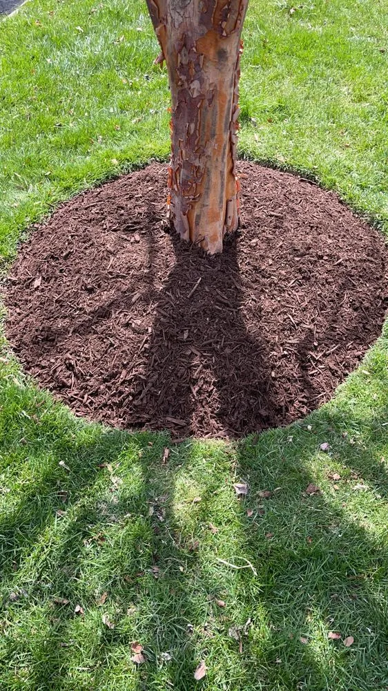 Custom lawn mowing service in Damascus, MD - Merchant Landscaping