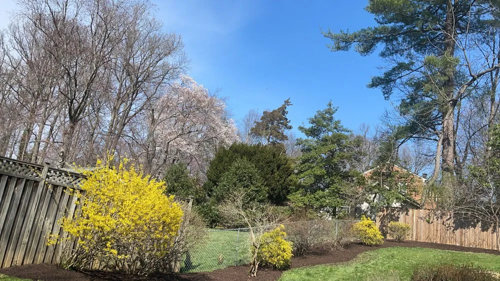 Expert landscape design in Damascus, MD - Merchant Landscaping