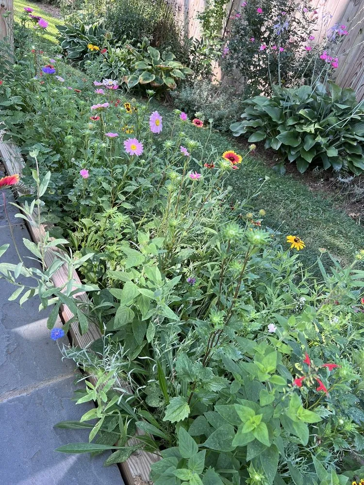 Professional landscaping services experts serving Damascus, MD - Merchant Landscaping