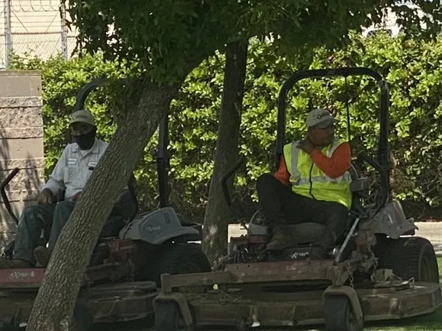 Local yard cleanup service for outdoor upgrades in Santa Ana, CA by Merchants Landscape Services