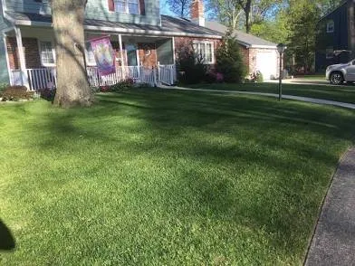 Local garden landscaping for year-round maintenance in Arlington, TX by Merc’s Mowing