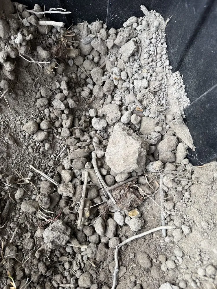 Top-rated residential landscaping in Hampton, VA by Mercury Mulch