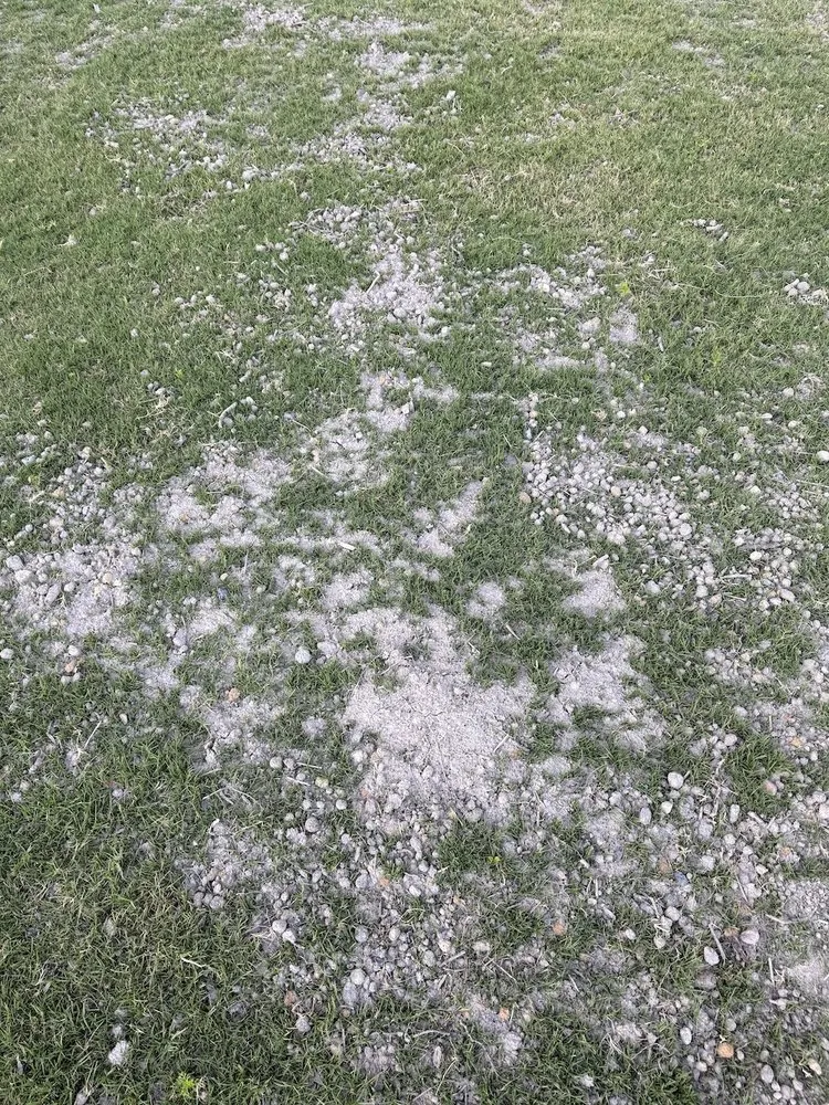 Affordable residential landscaping for homes across Hampton, VA - Mercury Mulch