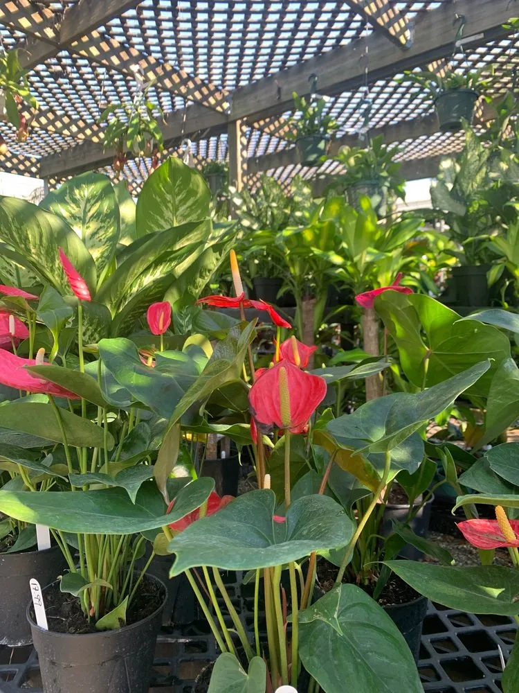 Professional landscaping services in Hampton, VA - Mercury Mulch