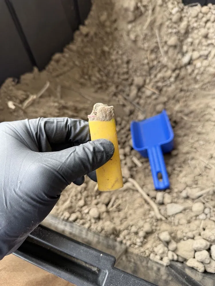 Professional lawn care service in Hampton, VA - Mercury Mulch