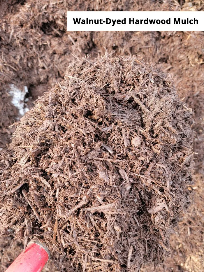 Custom yard maintenance near you in Hampton, VA by Mercury Mulch