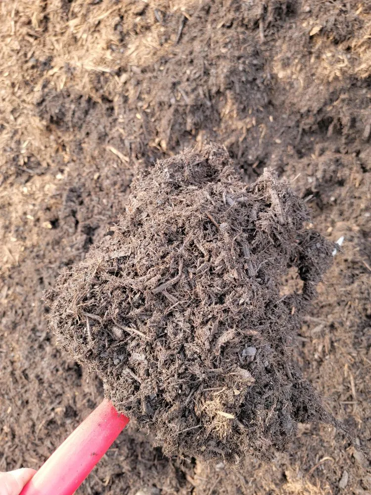 Reliable residential landscaping in Hampton, VA - Mercury Mulch